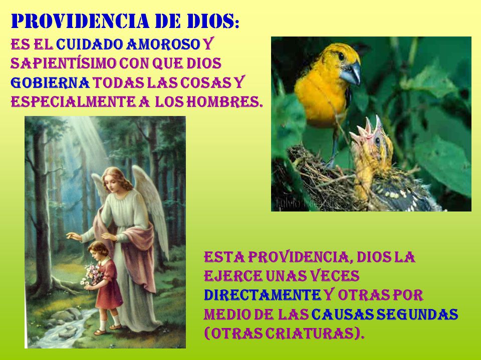 Providencia de Dios: es el cuidado amoroso y sapientísimo con que Dios gobierna todas las cosas y especialmente a los hombres.
