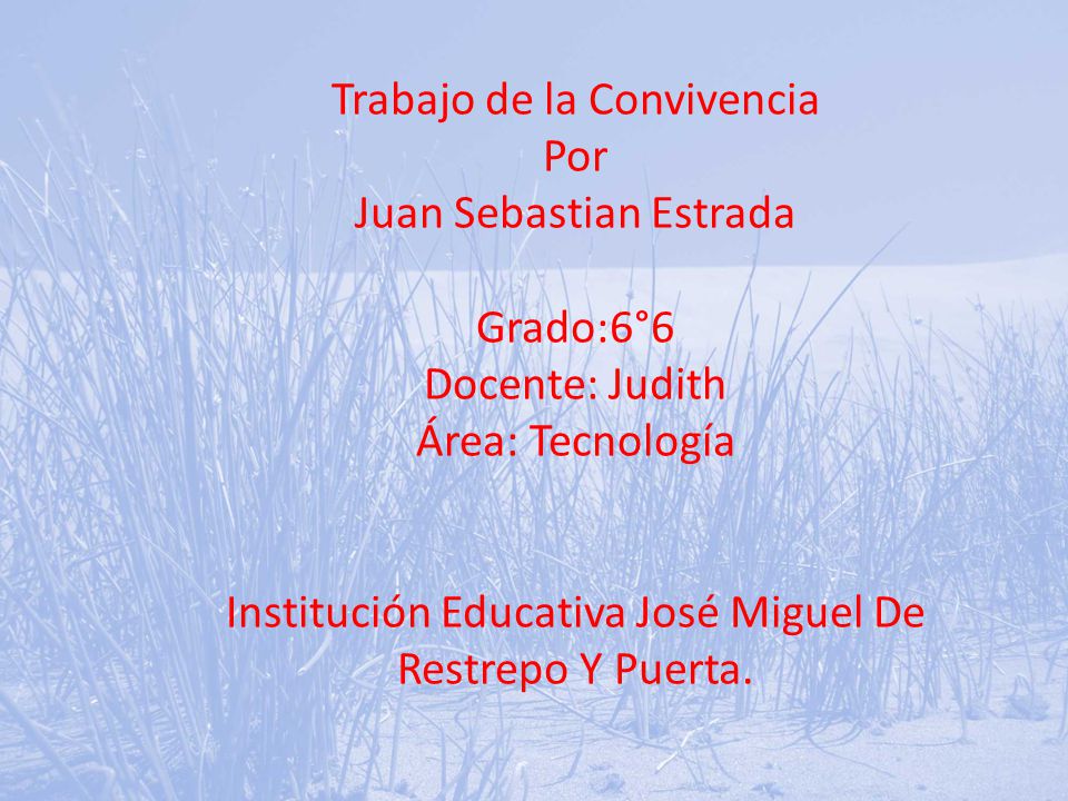 Trabajo de la Convivencia Por Juan Sebastian Estrada Grado:6°6