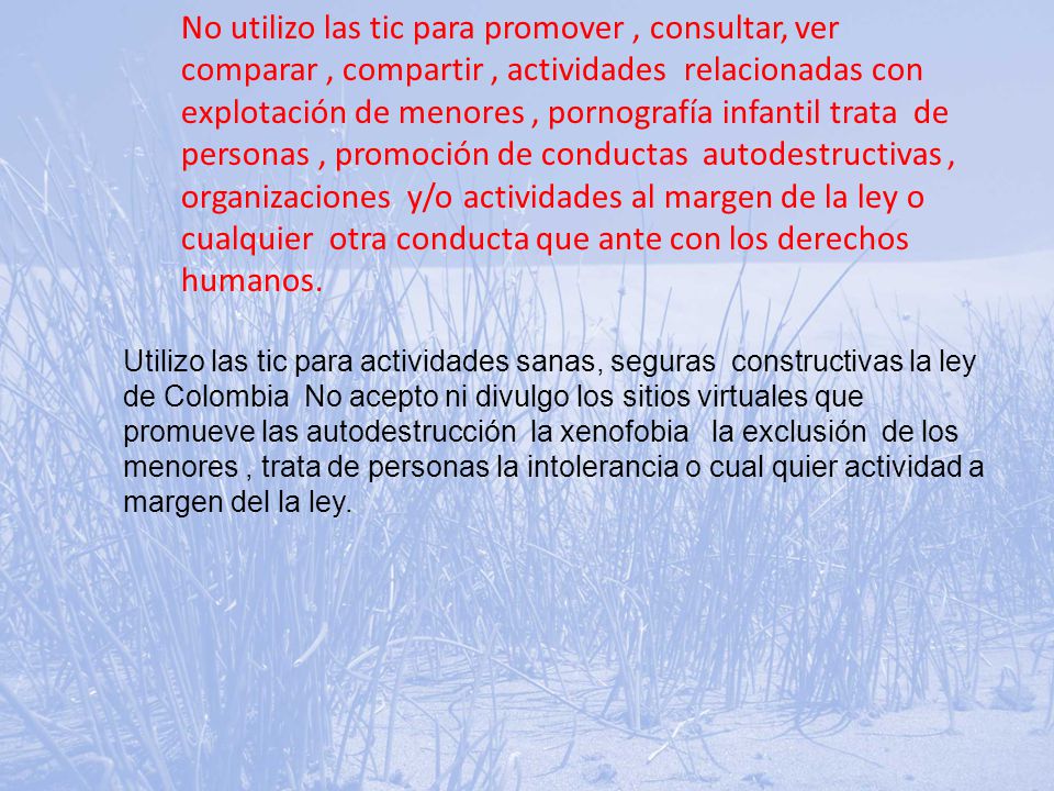 No utilizo las tic para promover , consultar, ver comparar , compartir , actividades relacionadas con explotación de menores , pornografía infantil trata de personas , promoción de conductas autodestructivas , organizaciones y/o actividades al margen de la ley o cualquier otra conducta que ante con los derechos humanos.