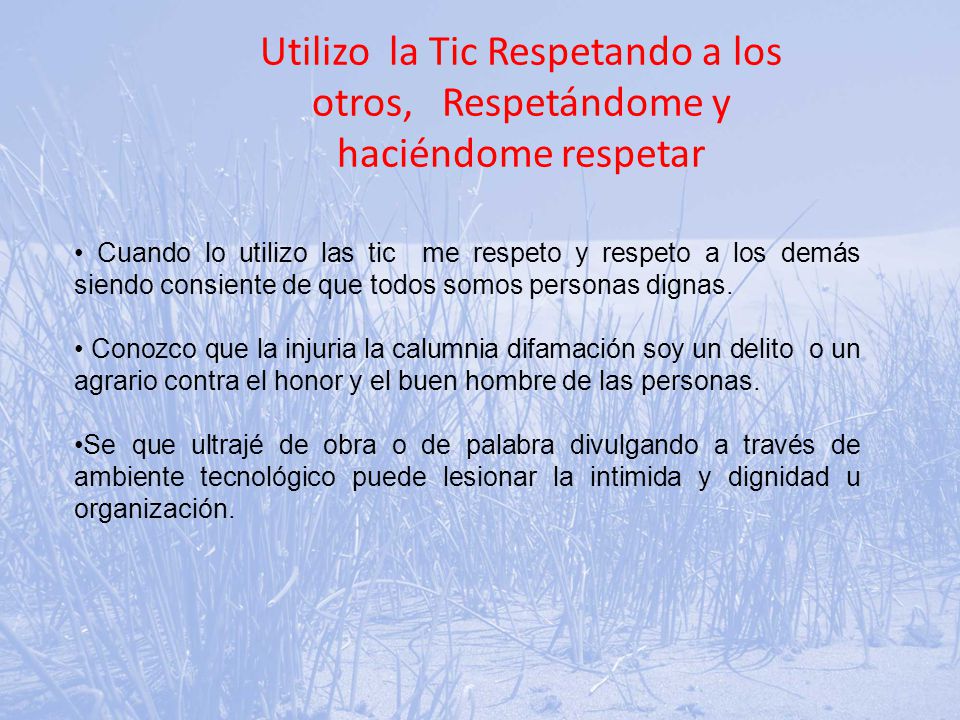 Utilizo la Tic Respetando a los otros, Respetándome y haciéndome respetar