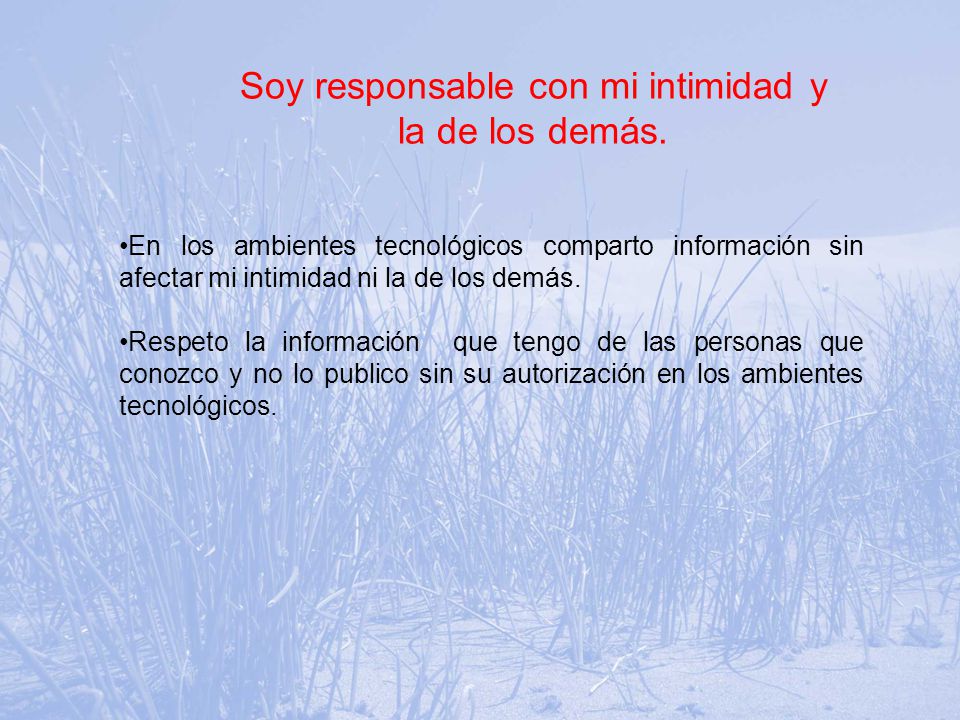 Soy responsable con mi intimidad y la de los demás.