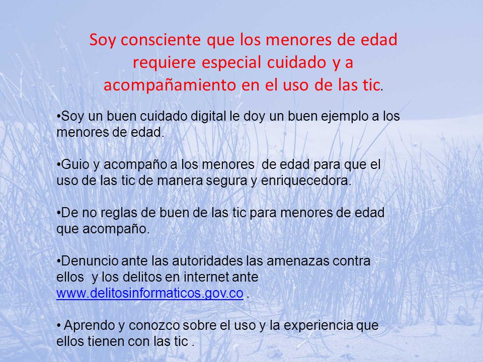 Soy consciente que los menores de edad requiere especial cuidado y a acompañamiento en el uso de las tic.