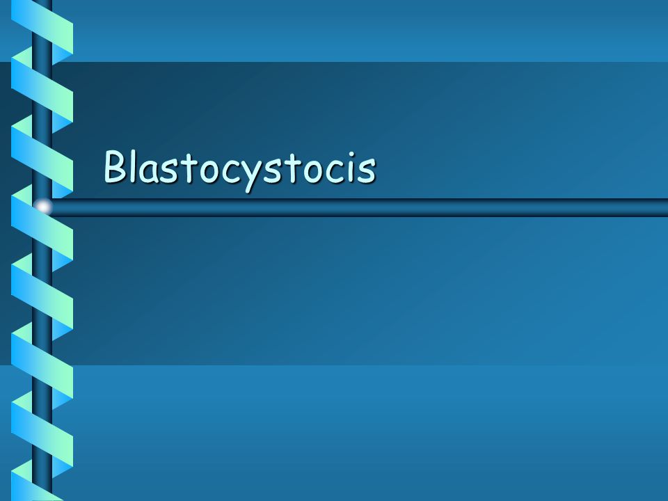 Blastocystocis