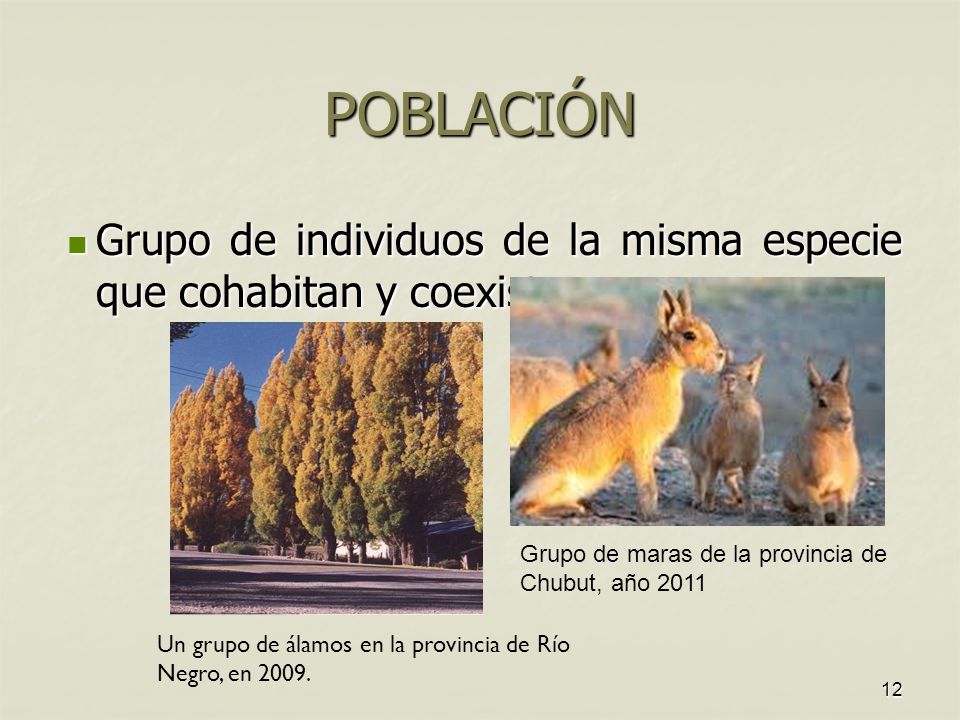 POBLACIÓN Grupo de individuos de la misma especie que cohabitan y coexisten. Grupo de maras de la provincia de Chubut, año