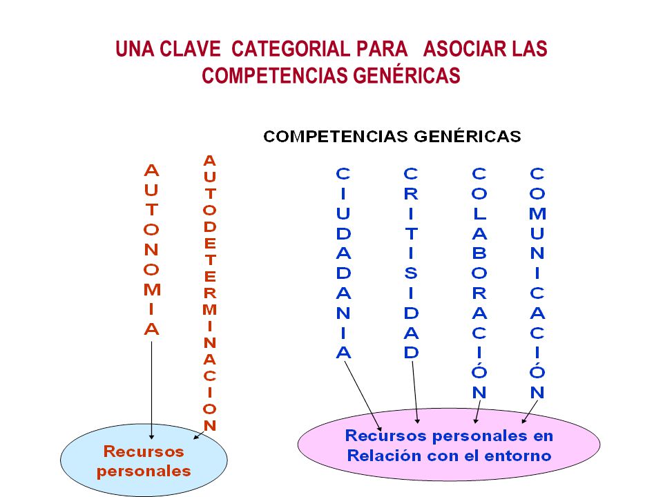 UNA CLAVE CATEGORIAL PARA ASOCIAR LAS COMPETENCIAS GENÉRICAS