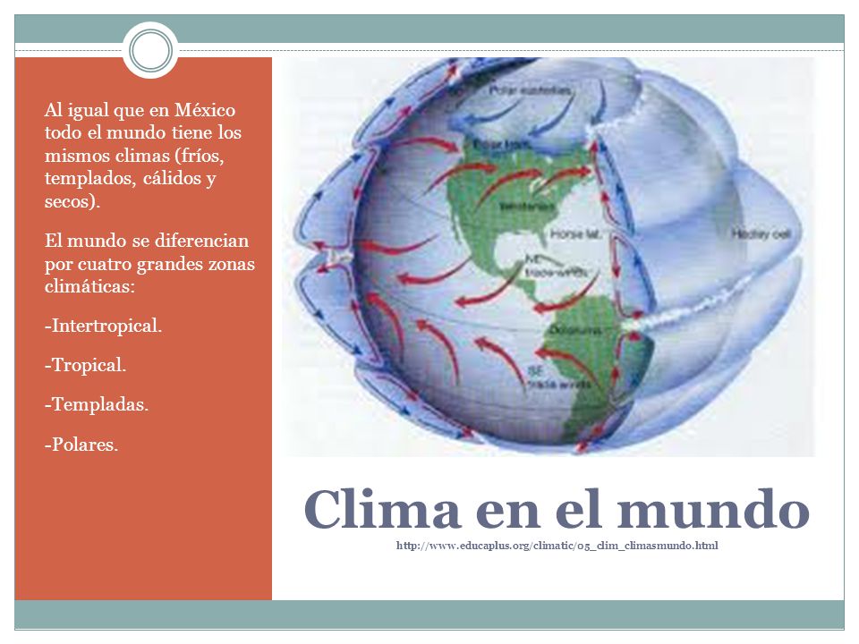 Al igual que en México todo el mundo tiene los mismos climas (fríos, templados, cálidos y secos).