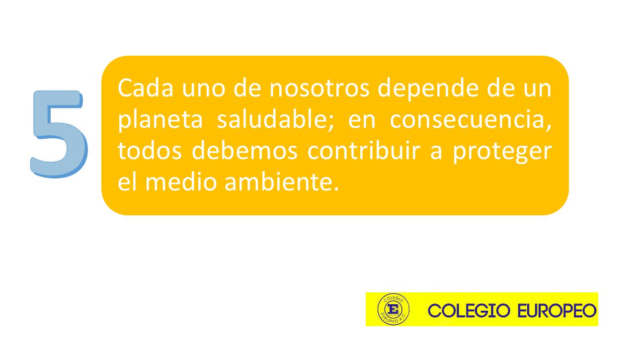5 Cada uno de nosotros depende de un planeta saludable; en consecuencia, todos debemos contribuir a proteger el medio ambiente.