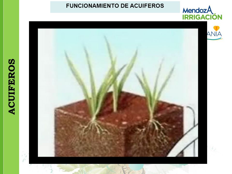 FUNCIONAMIENTO DE ACUIFEROS