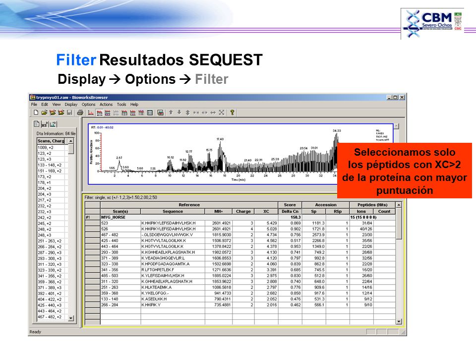 los péptidos con XC>2 de la proteína con mayor