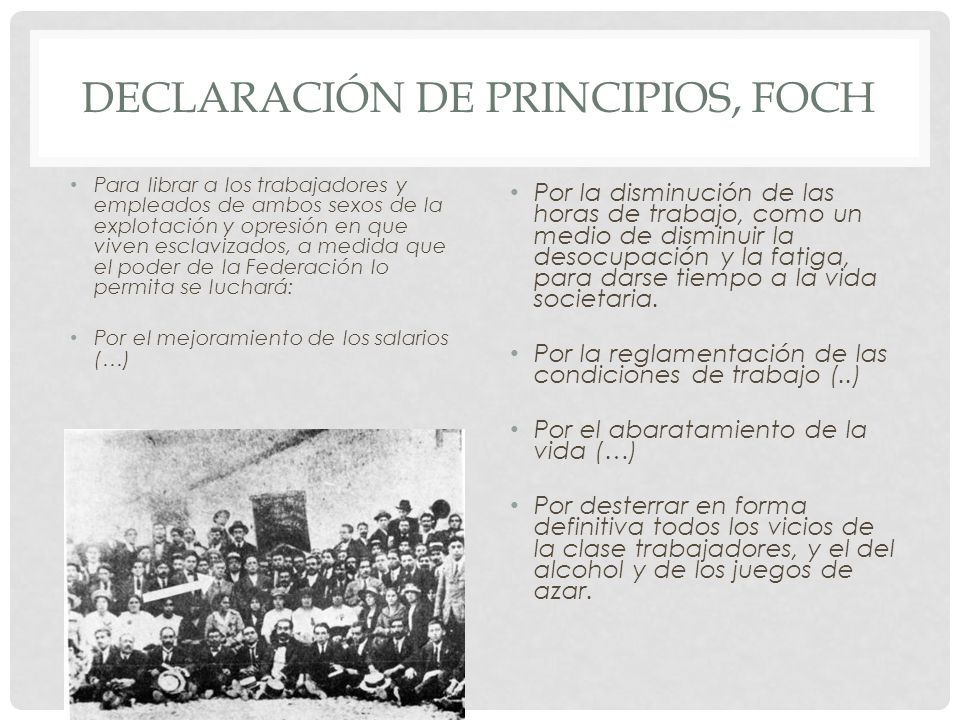 Declaración de Principios, FOCH
