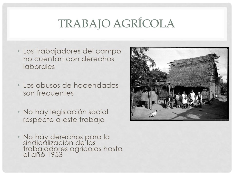 Trabajo agrícola Los trabajadores del campo no cuentan con derechos laborales. Los abusos de hacendados son frecuentes.