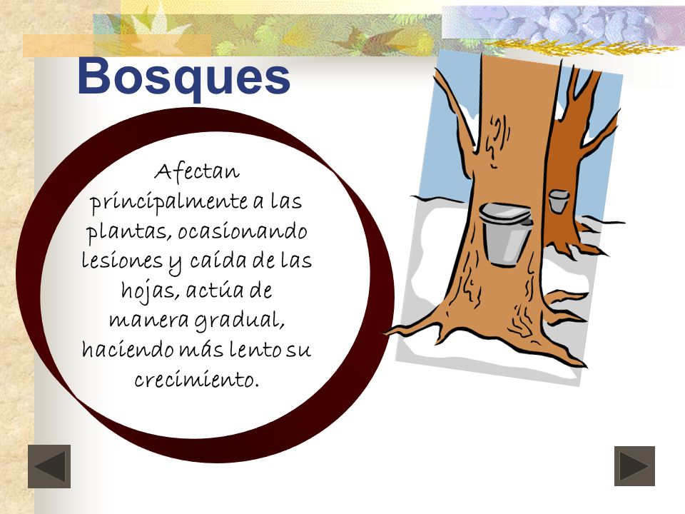 Bosques Afectan principalmente a las plantas, ocasionando lesiones y caída de las hojas, actúa de manera gradual, haciendo más lento su crecimiento.