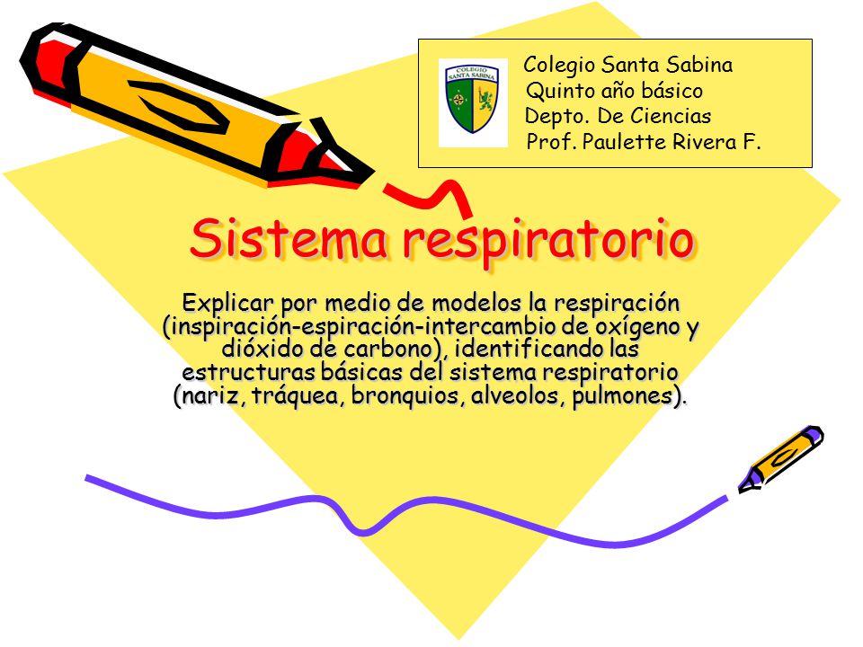 Colegio Santa Sabina Quinto año básico. Depto. De Ciencias. Prof. Paulette Rivera F. Sistema respiratorio.