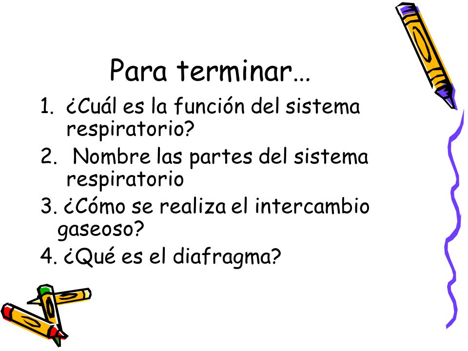 Para terminar… ¿Cuál es la función del sistema respiratorio