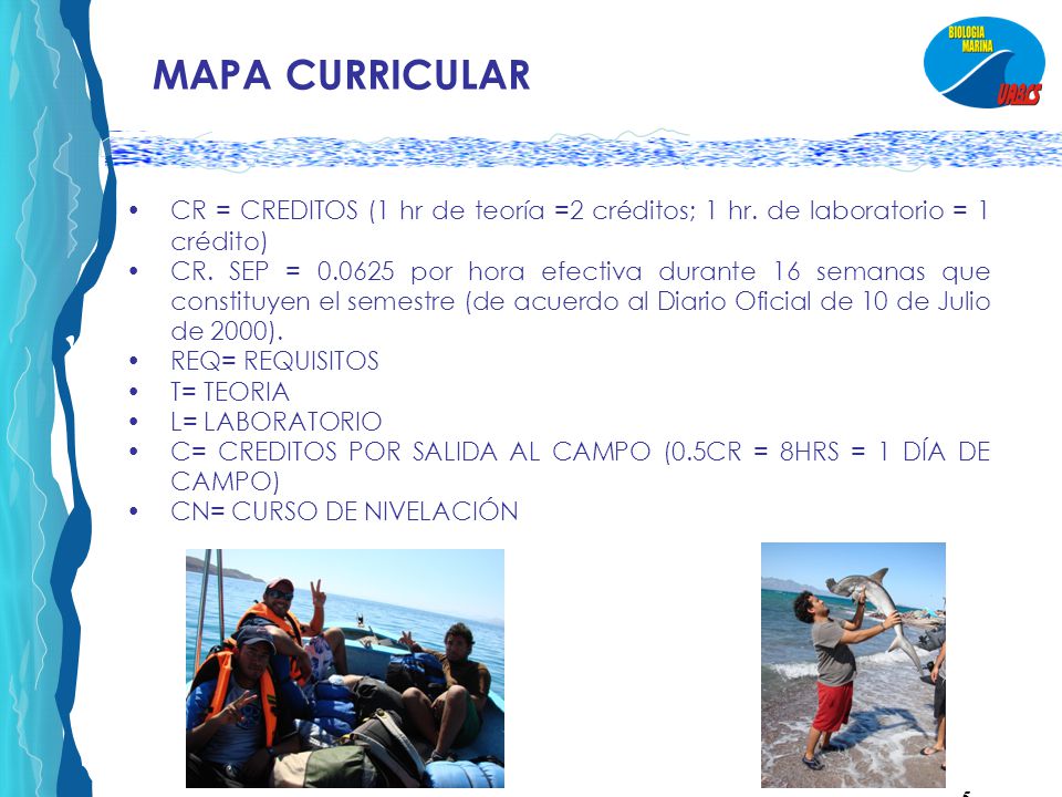 MAPA CURRICULAR CR = CREDITOS (1 hr de teoría =2 créditos; 1 hr. de laboratorio = 1 crédito)