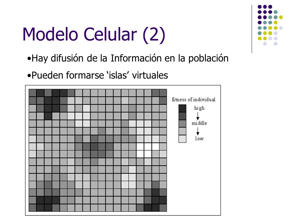 Modelo Celular (2) Hay difusión de la Información en la población