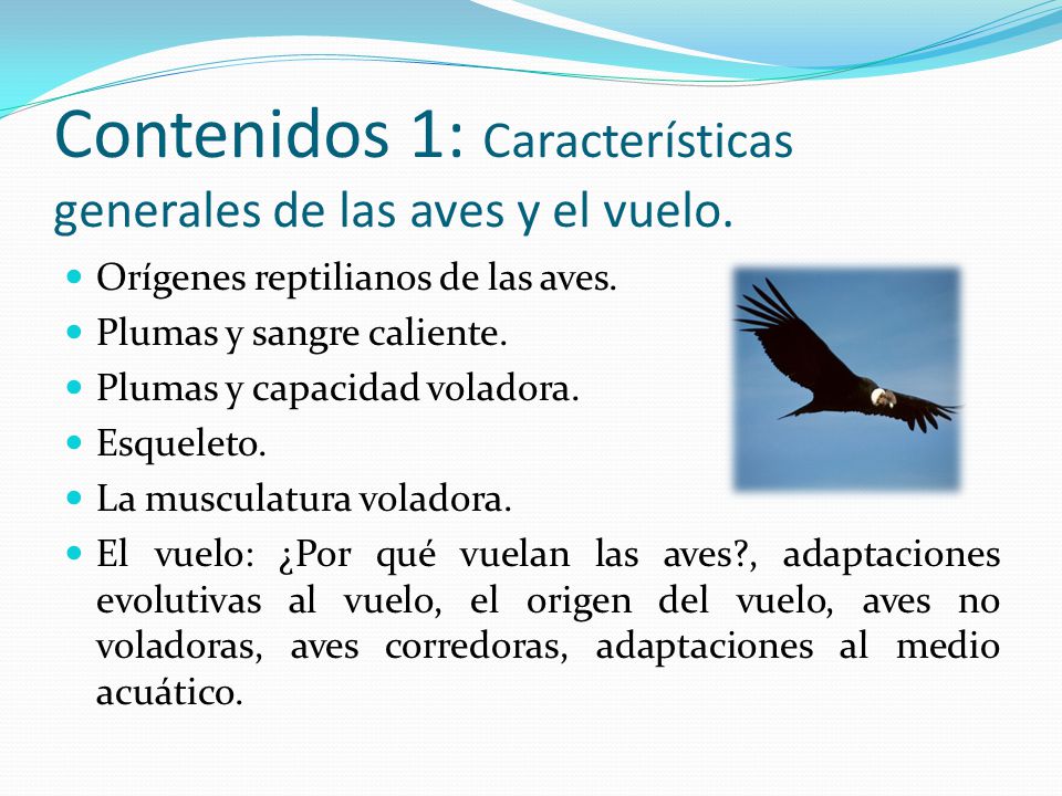 Contenidos 1: Características generales de las aves y el vuelo.