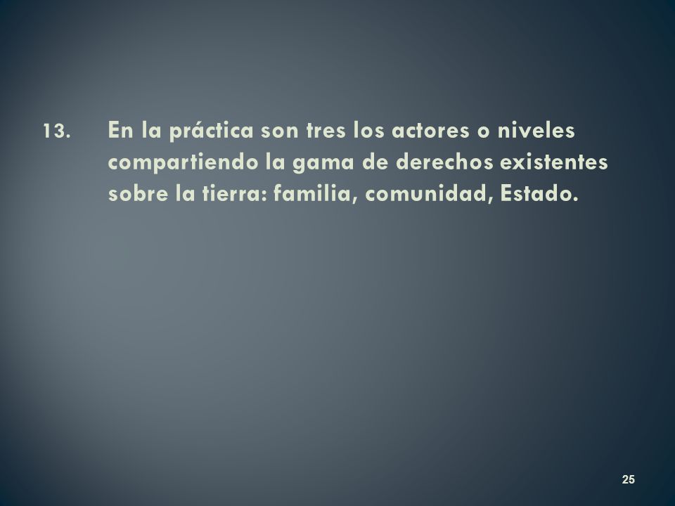 13. En la práctica son tres los actores o niveles compartiendo la gama de derechos existentes sobre la tierra: familia, comunidad, Estado.