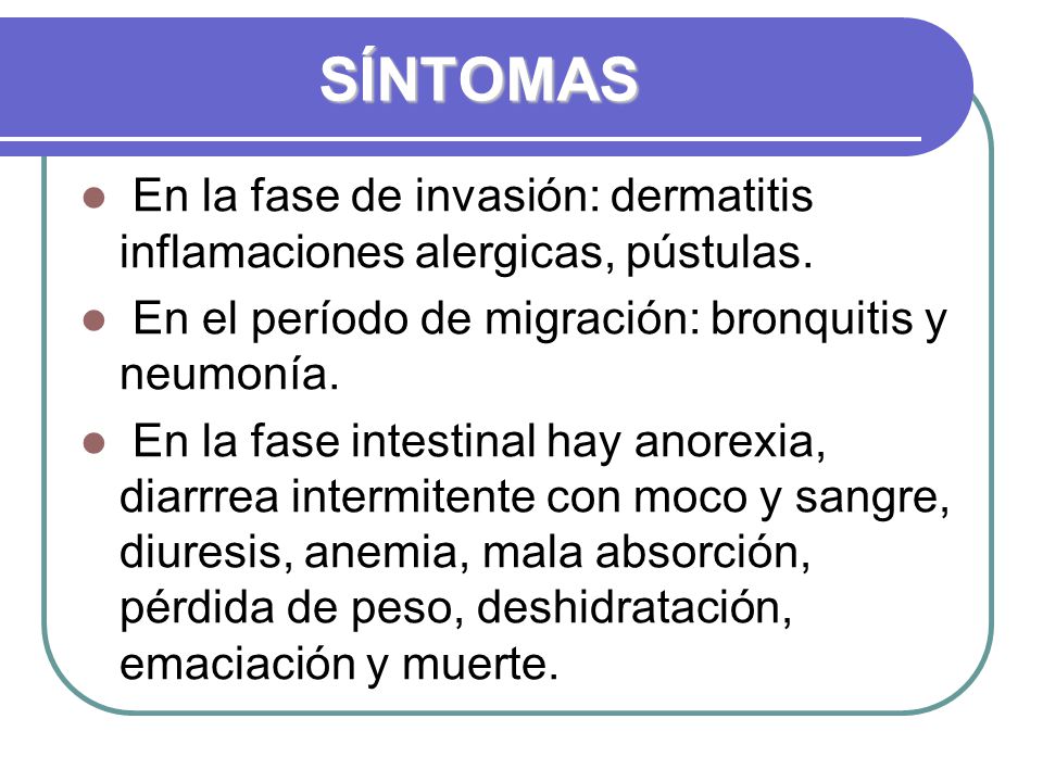 SÍNTOMAS En la fase de invasión: dermatitis inflamaciones alergicas, pústulas. En el período de migración: bronquitis y neumonía.
