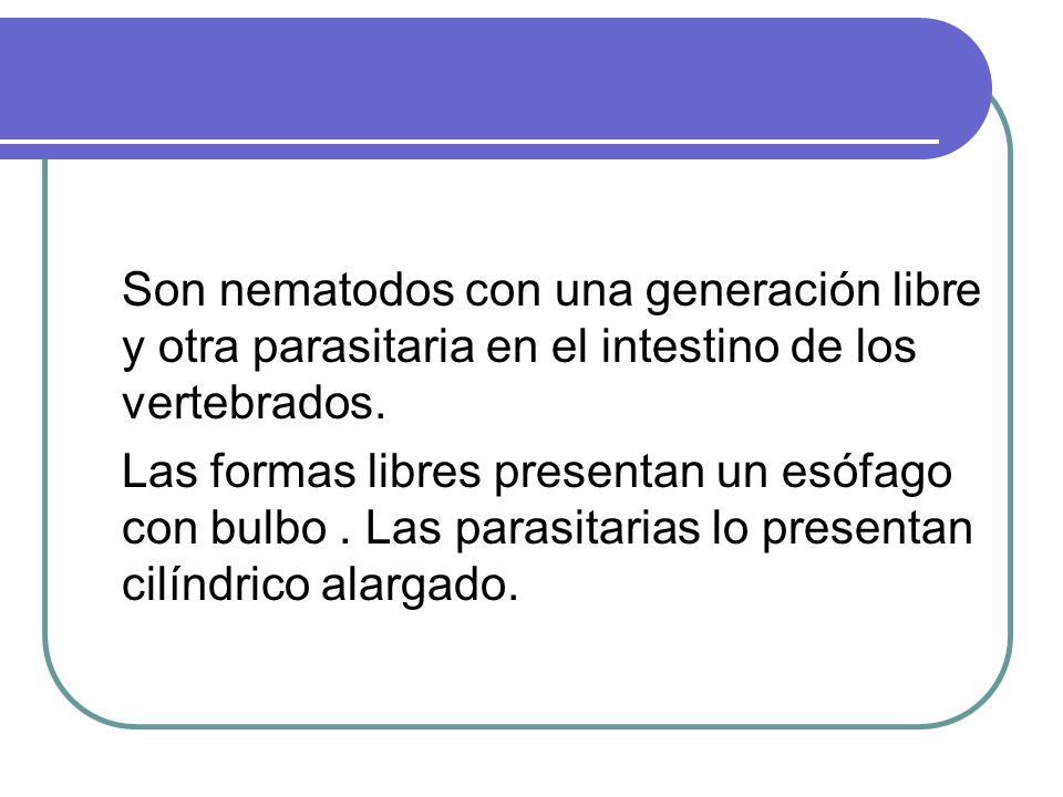 Son nematodos con una generación libre y otra parasitaria en el intestino de los vertebrados.