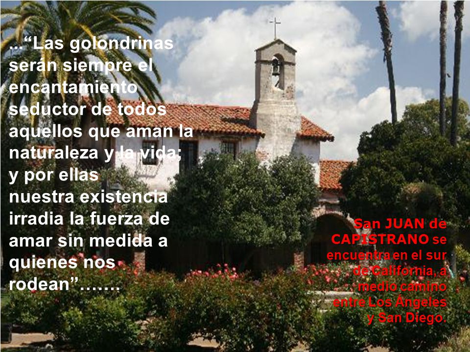 ... Las golondrinas serán siempre el encantamiento seductor de todos aquellos que aman la naturaleza y la vida;