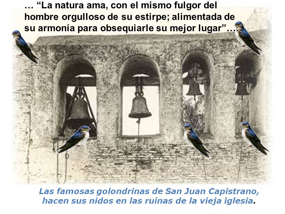 … La natura ama, con el mismo fulgor del hombre orgulloso de su estirpe; alimentada de su armonía para obsequiarle su mejor lugar ….