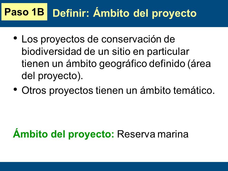 Definir: Ámbito del proyecto