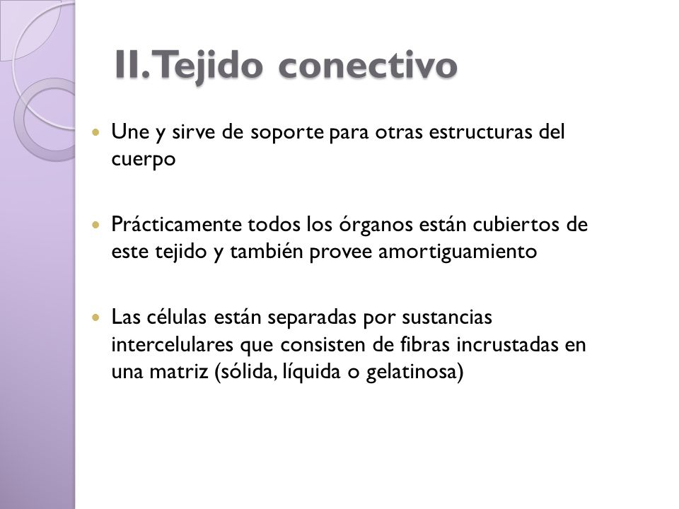 II.Tejido conectivo Une y sirve de soporte para otras estructuras del cuerpo.