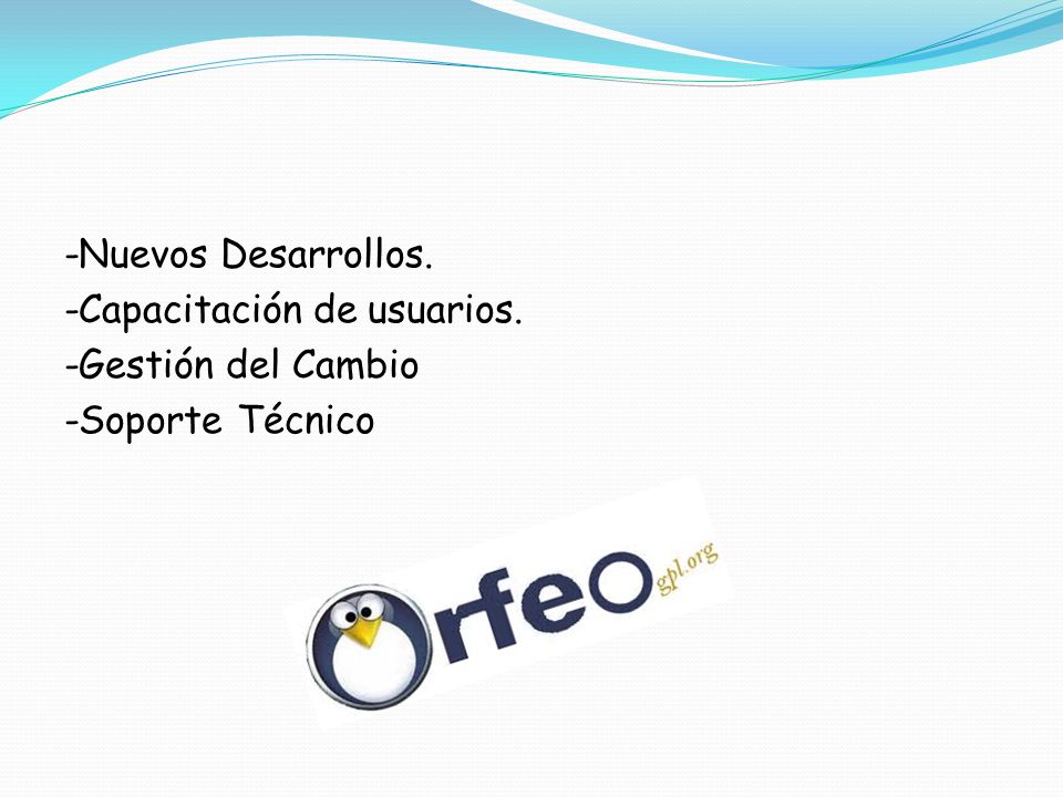 -Nuevos Desarrollos. -Capacitación de usuarios. -Gestión del Cambio -Soporte Técnico