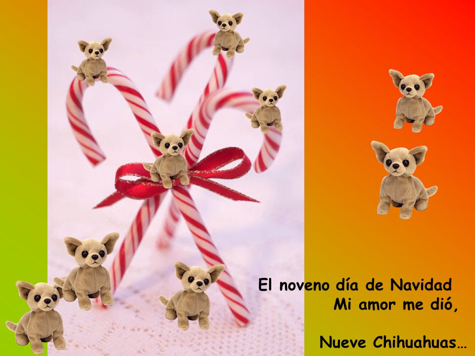 El noveno día de Navidad Mi amor me dió,