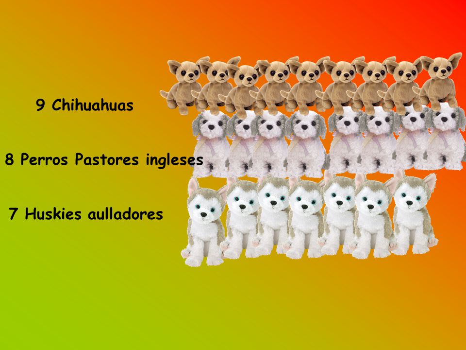 9 Chihuahuas 8 Perros Pastores ingleses 7 Huskies aulladores