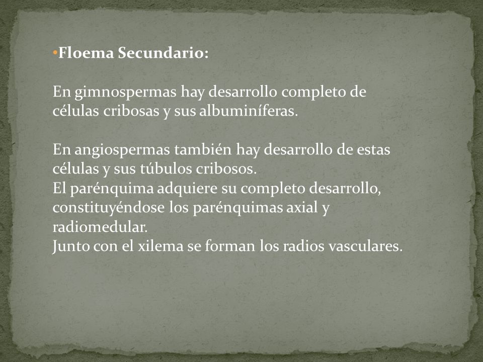 Floema Secundario: En gimnospermas hay desarrollo completo de células cribosas y sus albuminíferas.