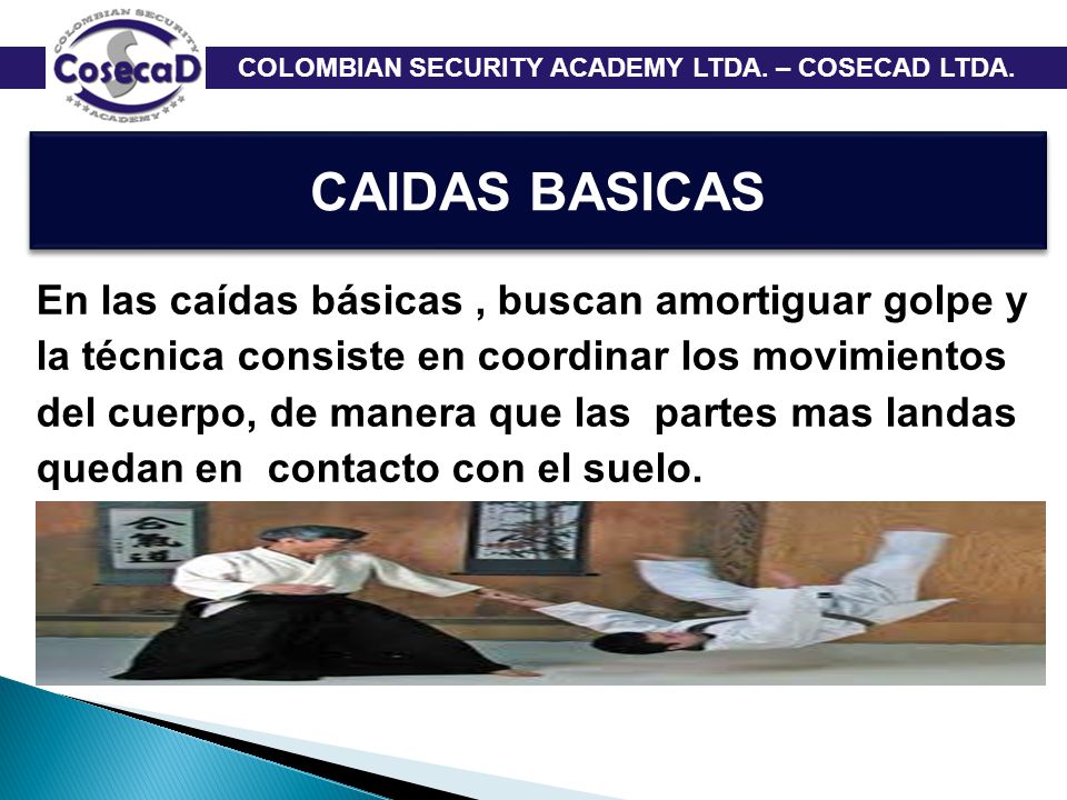 CAIDAS BASICAS En las caídas básicas , buscan amortiguar golpe y