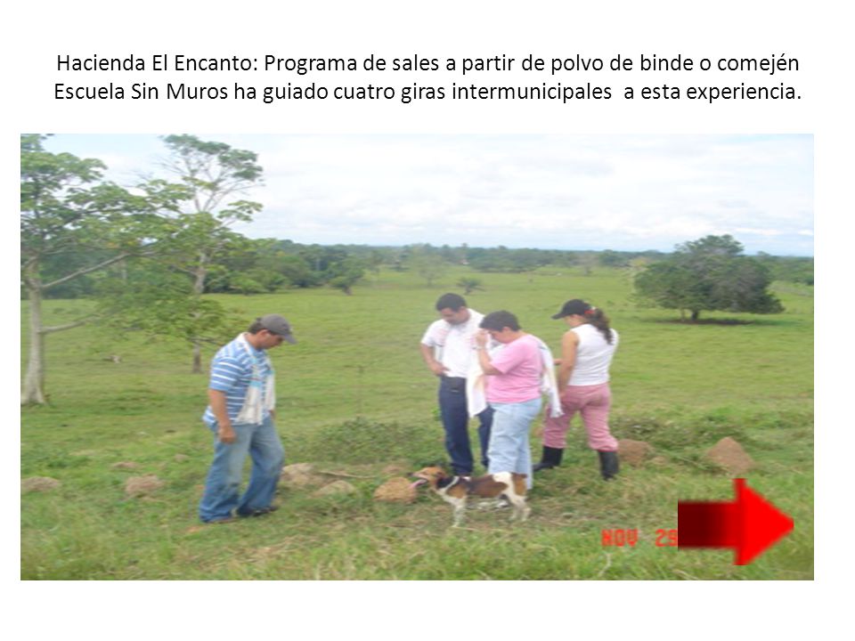 Hacienda El Encanto: Programa de sales a partir de polvo de binde o comején Escuela Sin Muros ha guiado cuatro giras intermunicipales a esta experiencia.