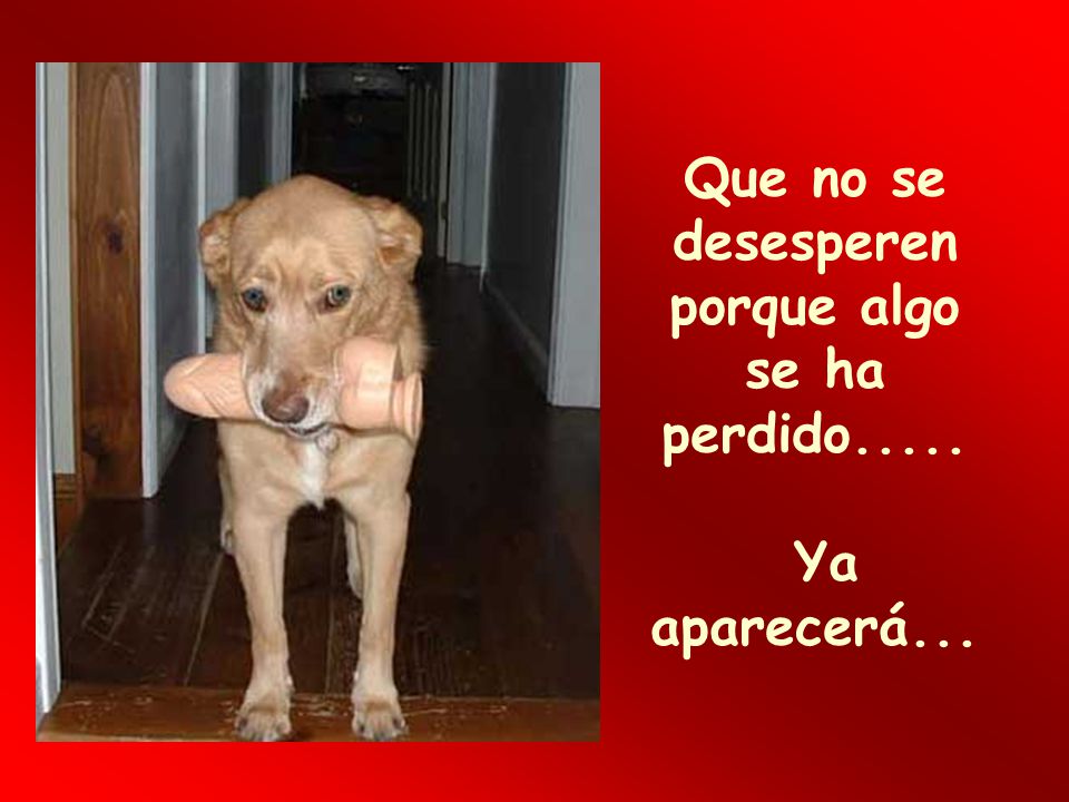 Que no se desesperen porque algo se ha perdido..... Ya aparecerá...