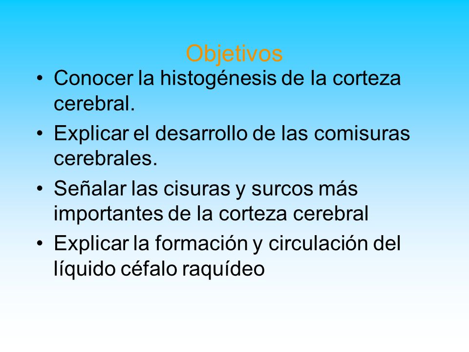 Objetivos Conocer la histogénesis de la corteza cerebral.