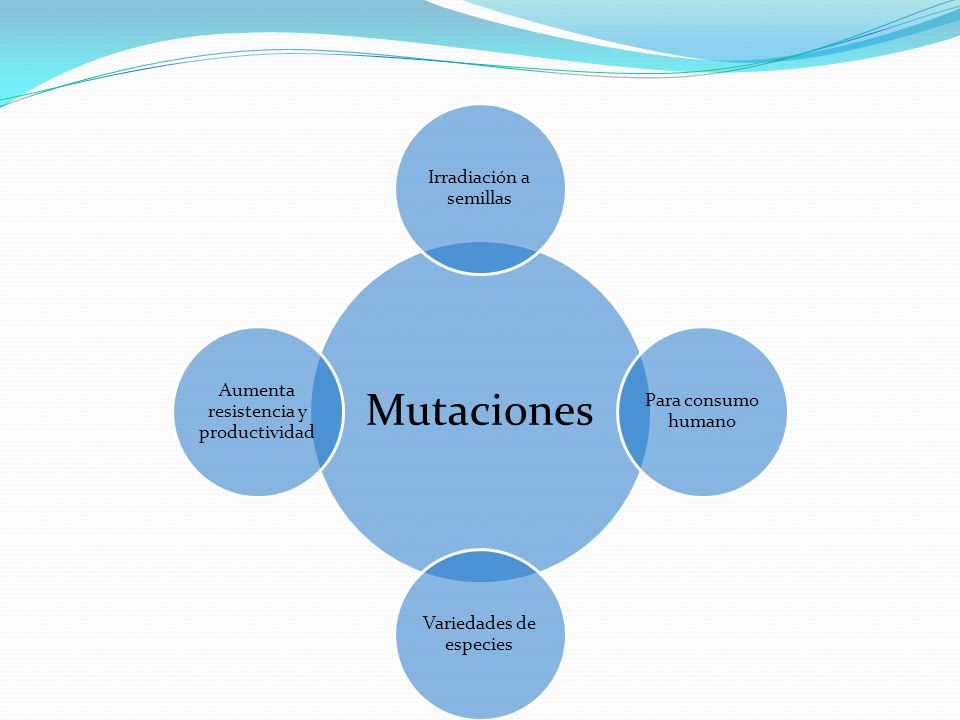 Irradiación a semillas Para consumo humano Variedades de especies