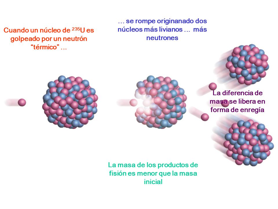... se rompe originanado dos núcleos más livianos ... más neutrones
