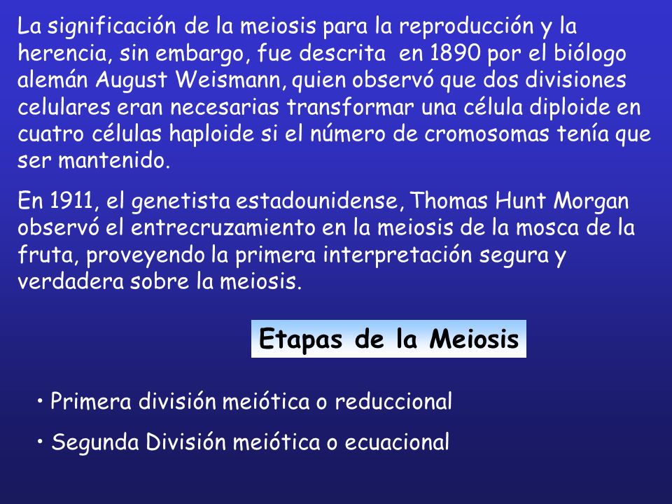 La significación de la meiosis para la reproducción y la herencia, sin embargo, fue descrita en 1890 por el biólogo alemán August Weismann, quien observó que dos divisiones celulares eran necesarias transformar una célula diploide en cuatro células haploide si el número de cromosomas tenía que ser mantenido.