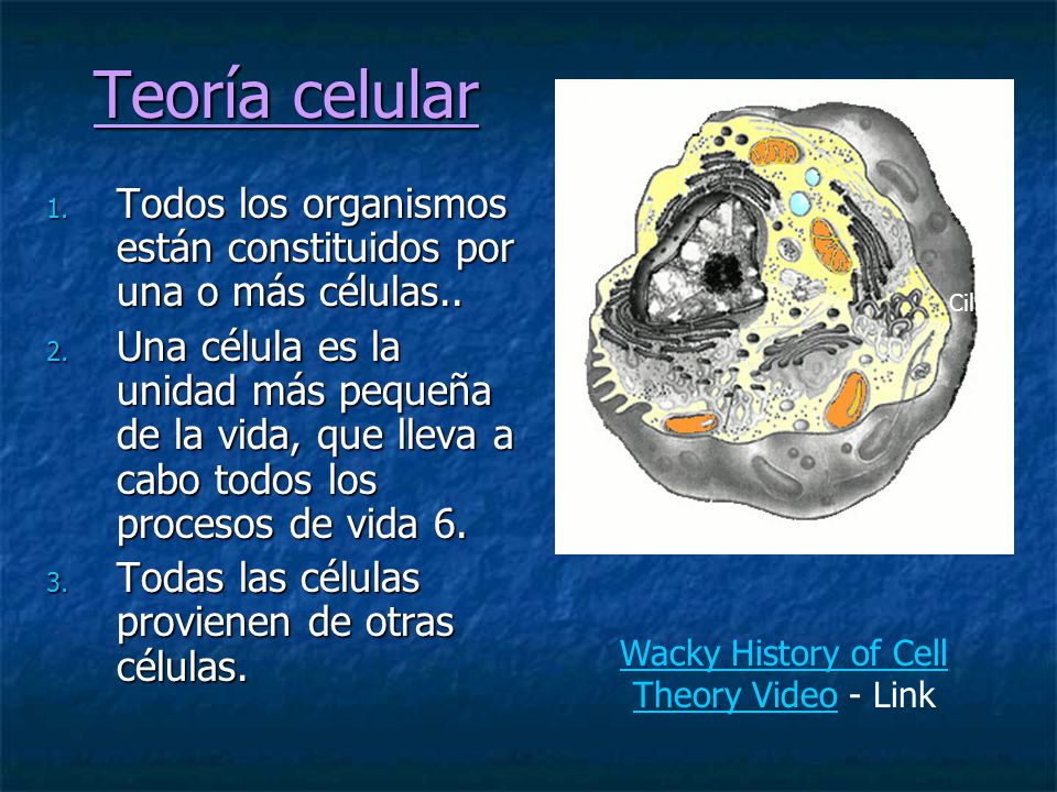 Wacky History of Cell Theory Video - Link