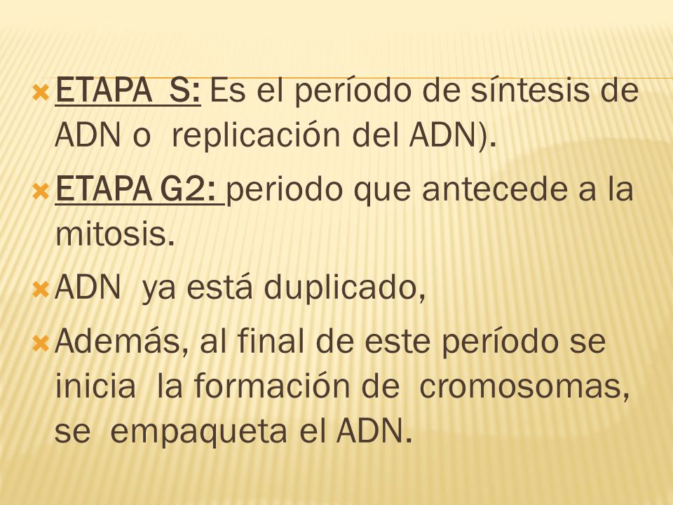 ETAPA S: Es el período de síntesis de ADN o replicación del ADN).