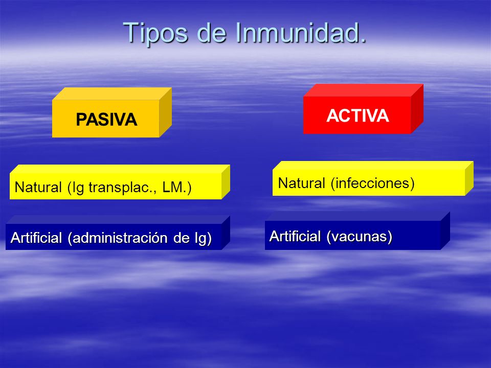 Tipos de Inmunidad. ACTIVA PASIVA Natural (infecciones)