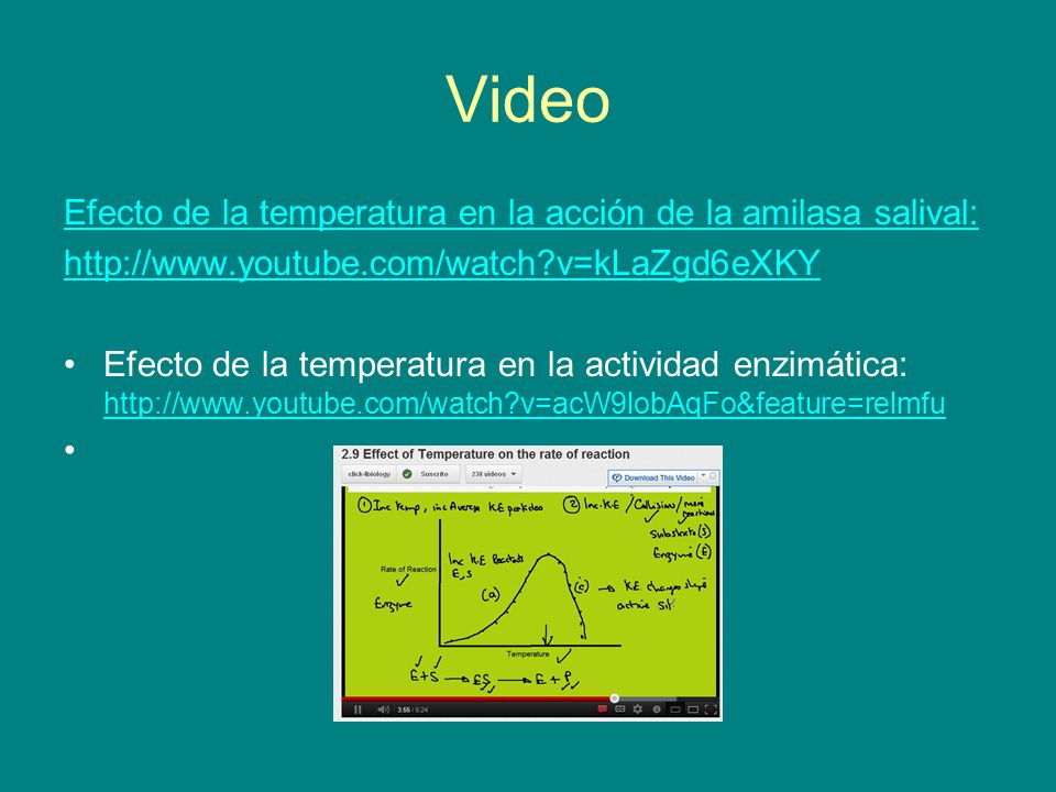 Video Efecto de la temperatura en la acción de la amilasa salival: