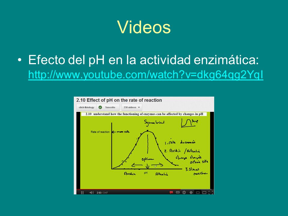 Videos Efecto del pH en la actividad enzimática:   v=dkg64qg2YqI