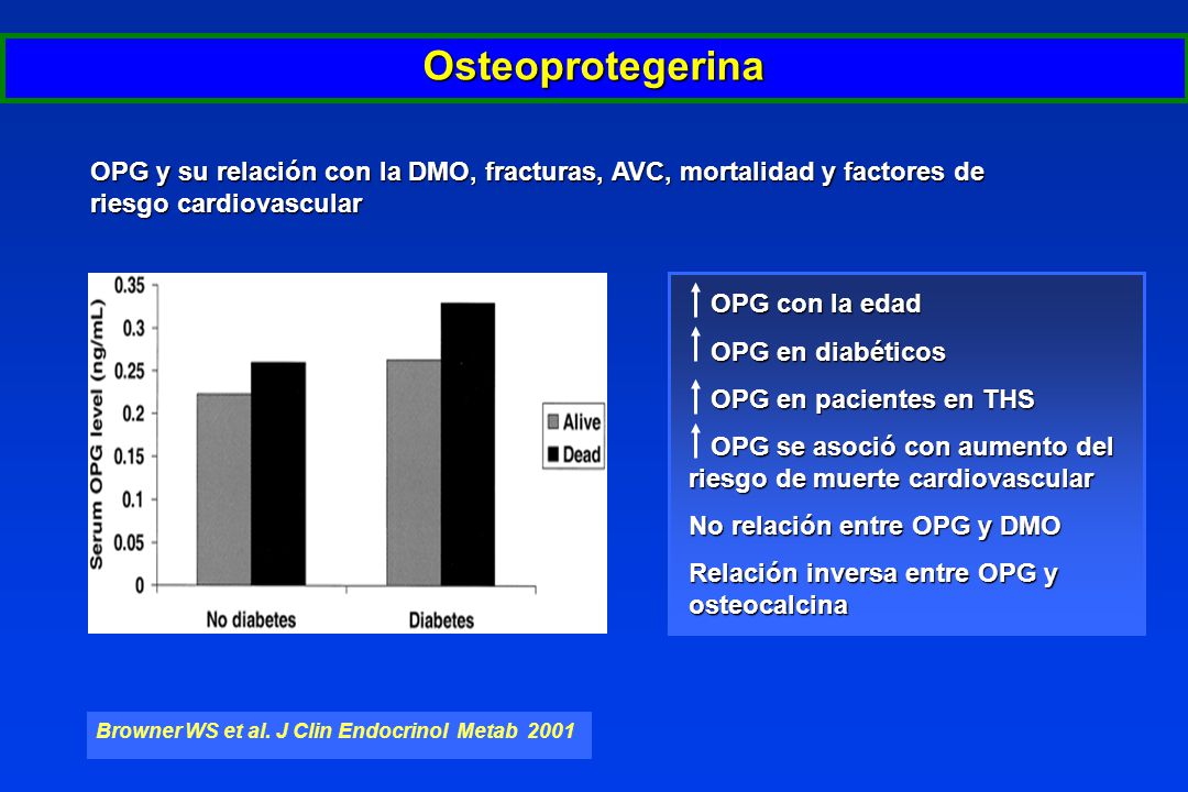 Osteoprotegerina OPG y su relación con la DMO, fracturas, AVC, mortalidad y factores de riesgo cardiovascular.