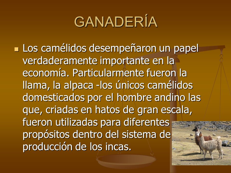 GANADERÍA