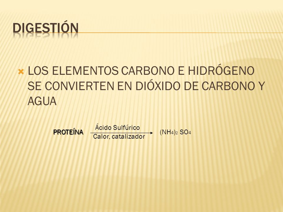 DIGESTIÓN LOS ELEMENTOS CARBONO E HIDRÓGENO SE CONVIERTEN EN DIÓXIDO DE CARBONO Y AGUA. PROTEÍNA. Ácido Sulfúrico.