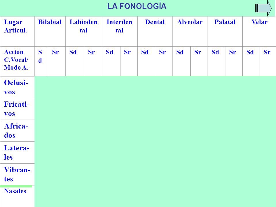 p b t d k g f z s y j ch l ll r, rr m n ñ LA FONOLOGÍA Oclusi- vos