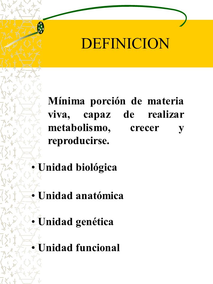 DEFINICION Mínima porción de materia viva, capaz de realizar metabolismo, crecer y reproducirse. Unidad biológica.