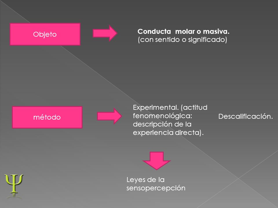 Objeto Conducta molar o masiva. (con sentido o significado) Experimental. (actitud fenomenológica: descripción de la experiencia directa).